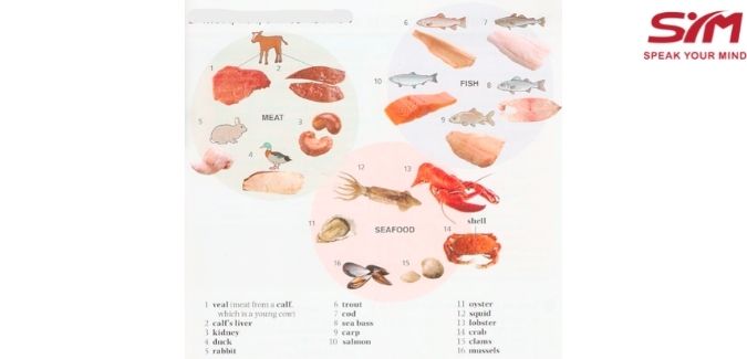 Từ vựng về  Meat, Fish & Seafood